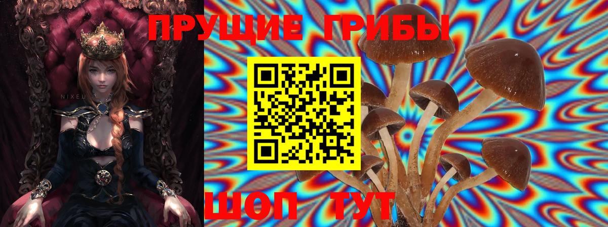 Галлюциногенные грибы прущие грибы Чапаевск